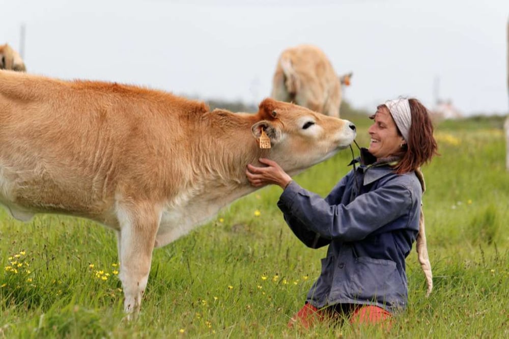 La fondation RAJA et son engagement pour la logistique et le développment durable